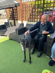 Dogs come to visit!
