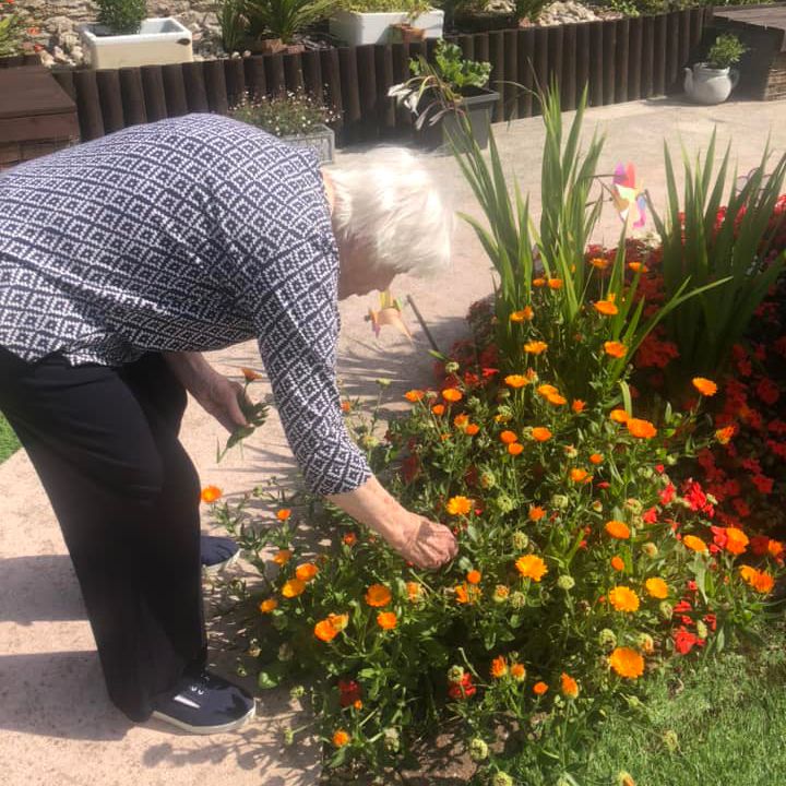 Gardening in the sun