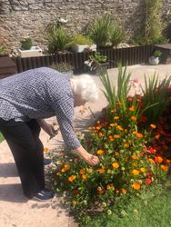 Gardening in the sun