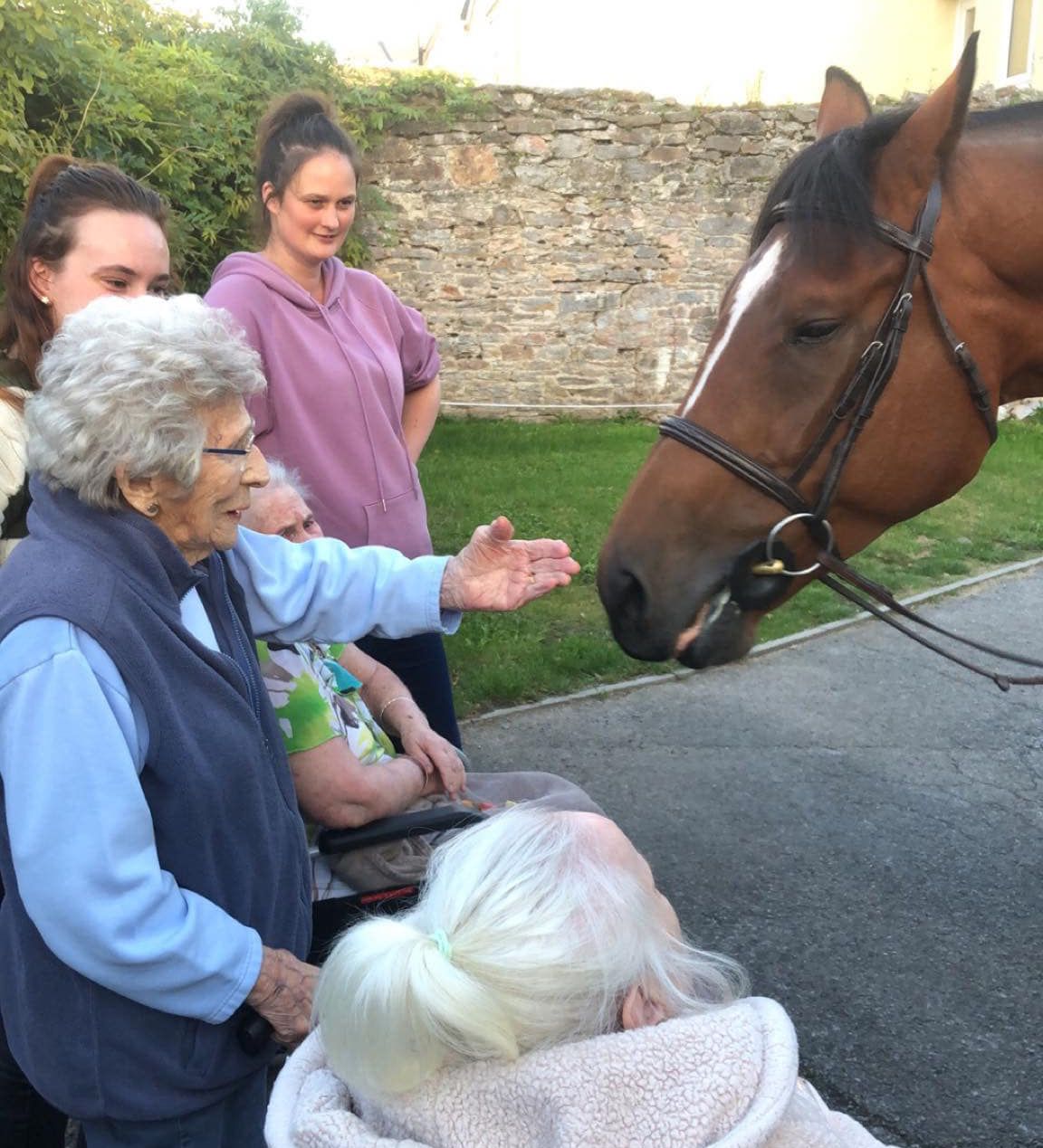Meeting a horse