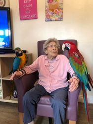 The parrots meeting the residents