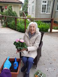 Planting flowers in the garden
