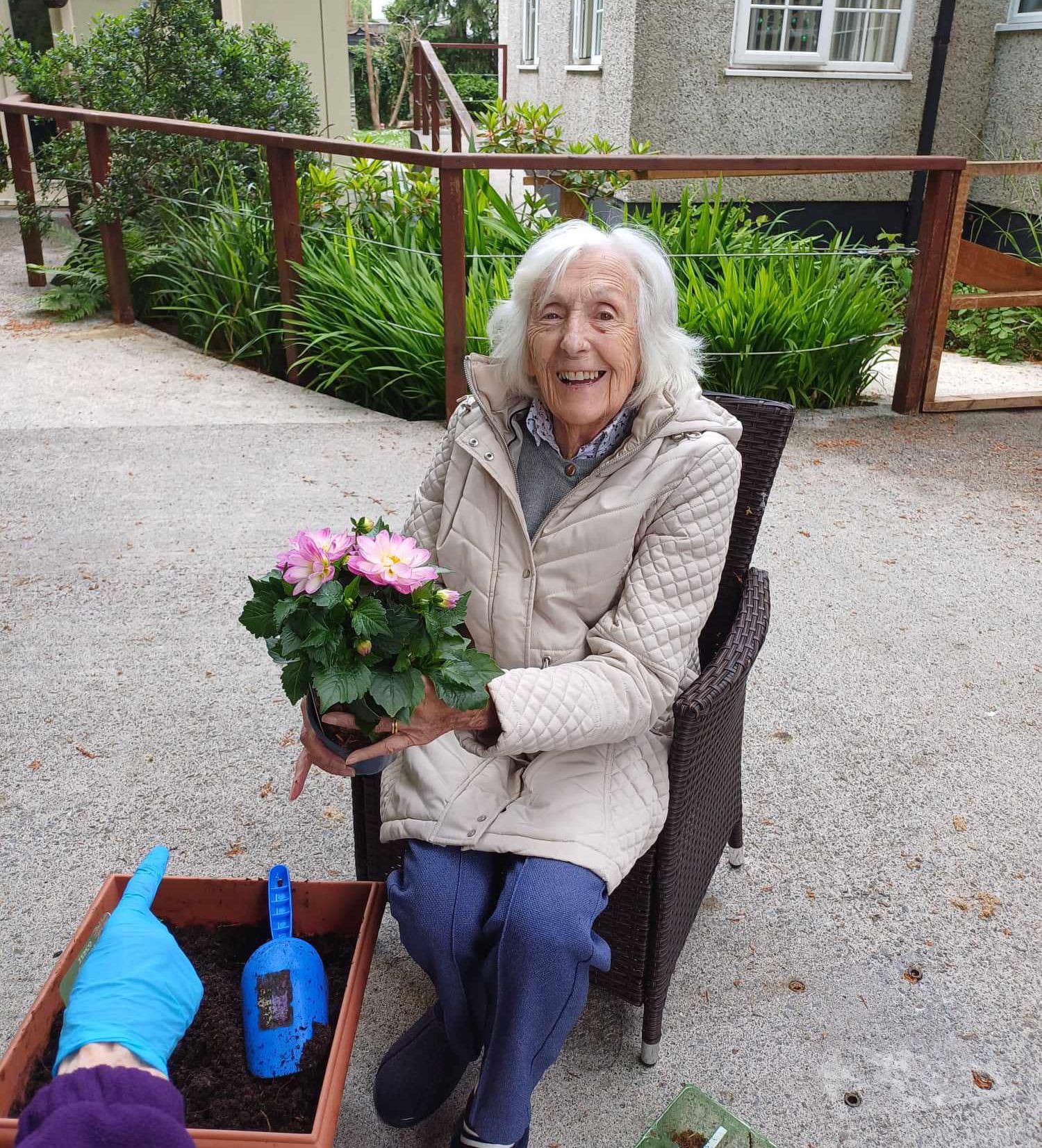 Planting flowers in the garden