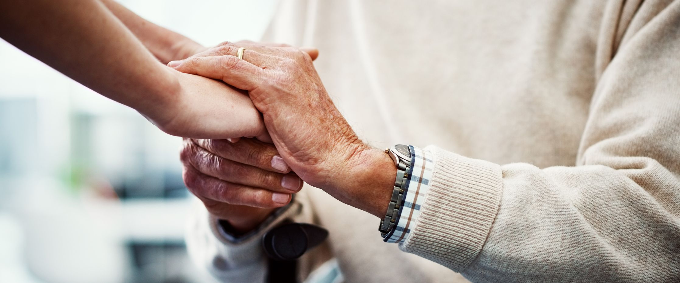 Clicking on the CTA button attached to this image will take you through to the Respite & Daycare page, where you can learn more.