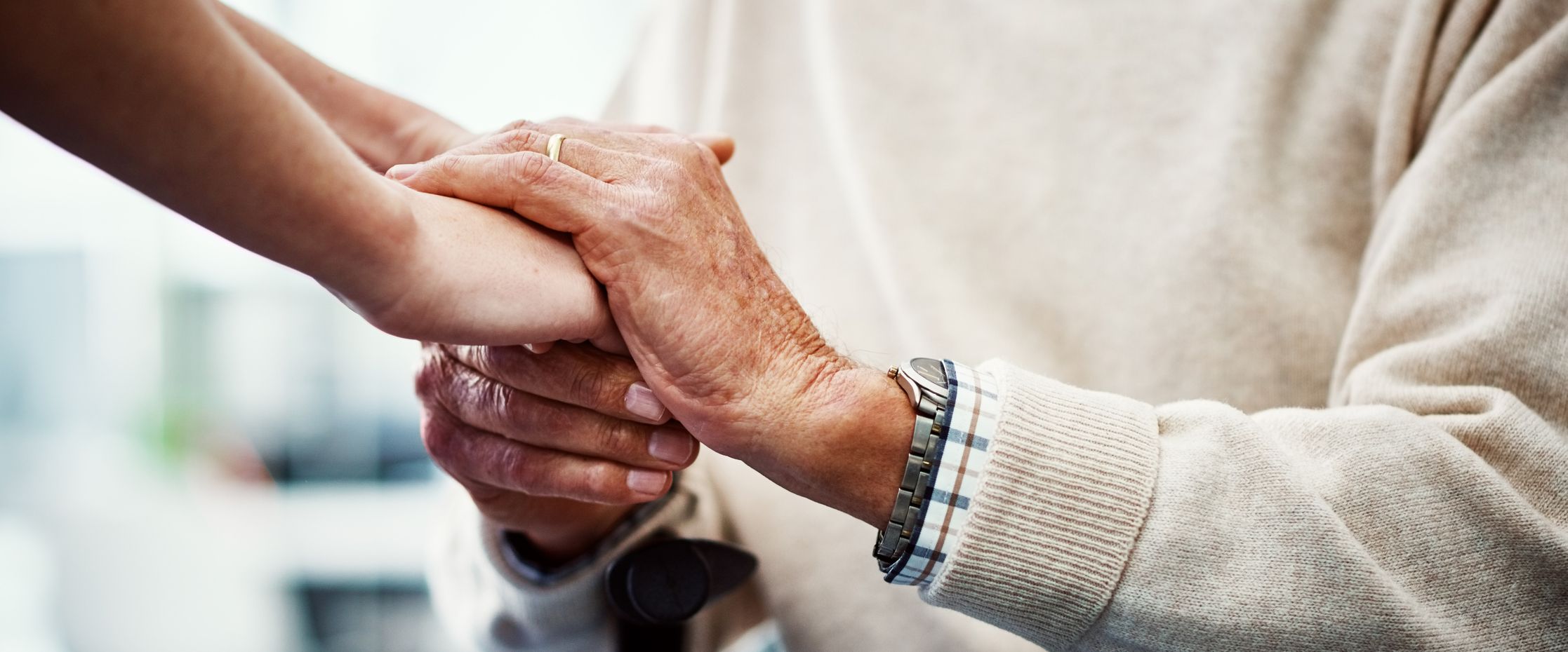 Clicking on the CTA button attached to this image will take you through to the Respite & Daycare page, where you can learn more.