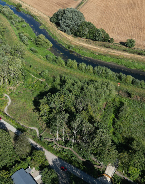 Tothill Low Nature reserve