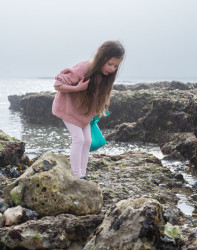 Little Girl Rock Pooling