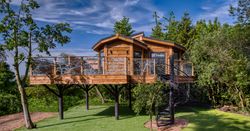 Treehouse External