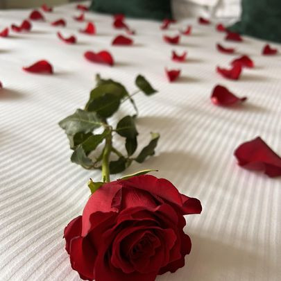 Rose petals on the bed