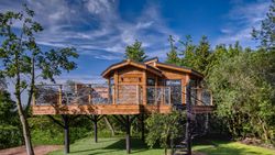 treehouse