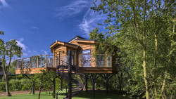 Treehouse Lodge with winding staircase