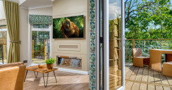 Treehouse Living room and balcony