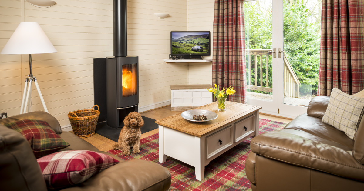 Mill Pond Living room with fire - dog friendly