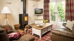 Mill Pond Living room with fire - dog friendly