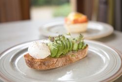 Avocado on Toast