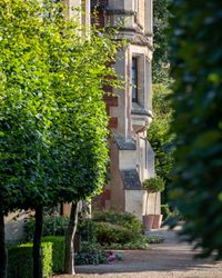 pathway through the gardens between the beautiful brick and large hedges