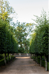 Wood Norton