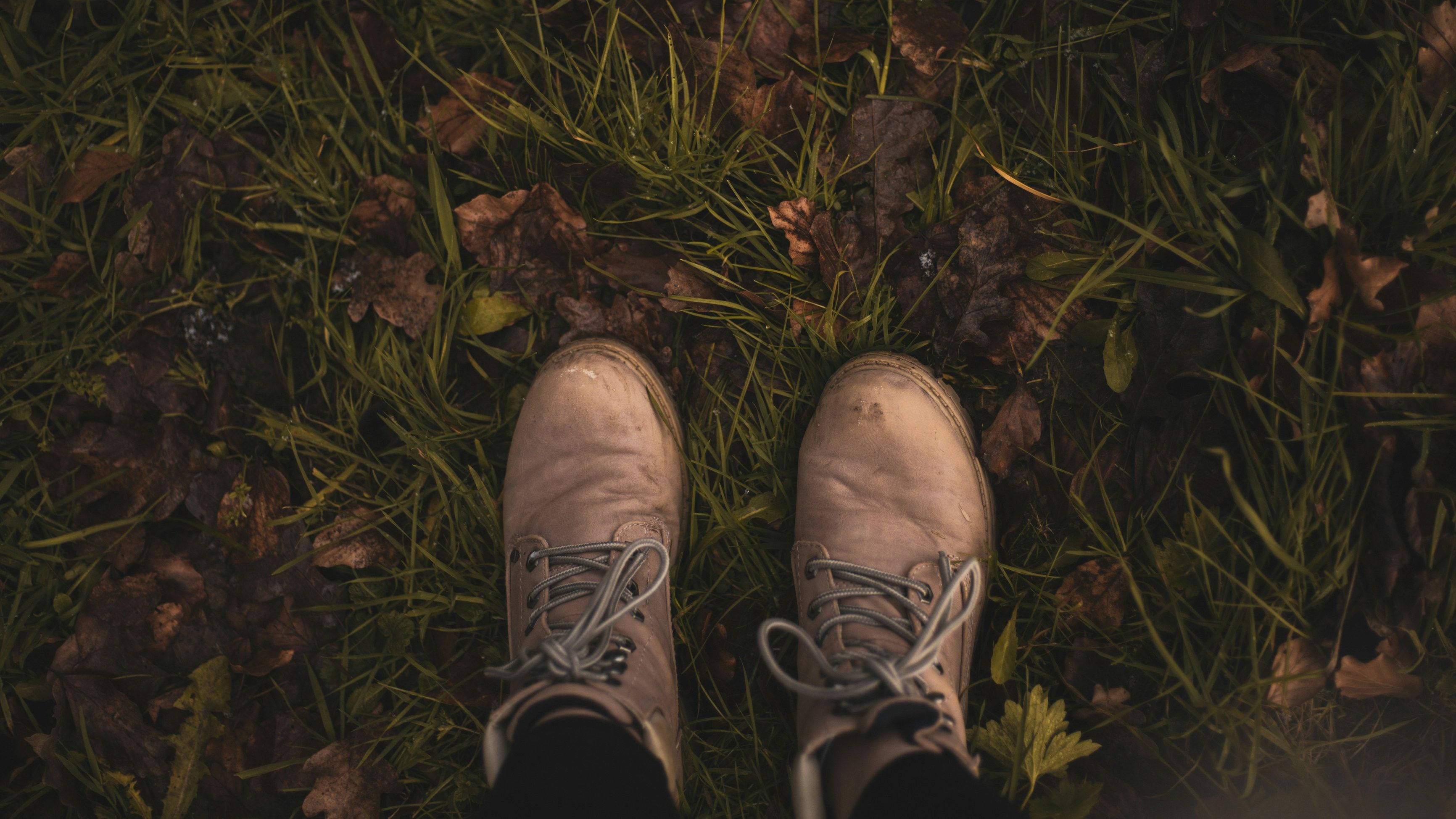 This is the hero image of the Local Walks page, where readers can discover more on the best walks in Evesham.