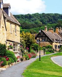 Cotswolds