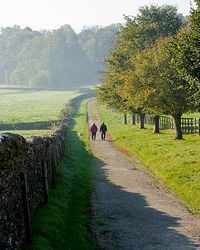 Local Walks