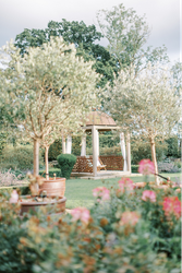 Chloe_Sean_Iris_and_Ivy_Photography-1064