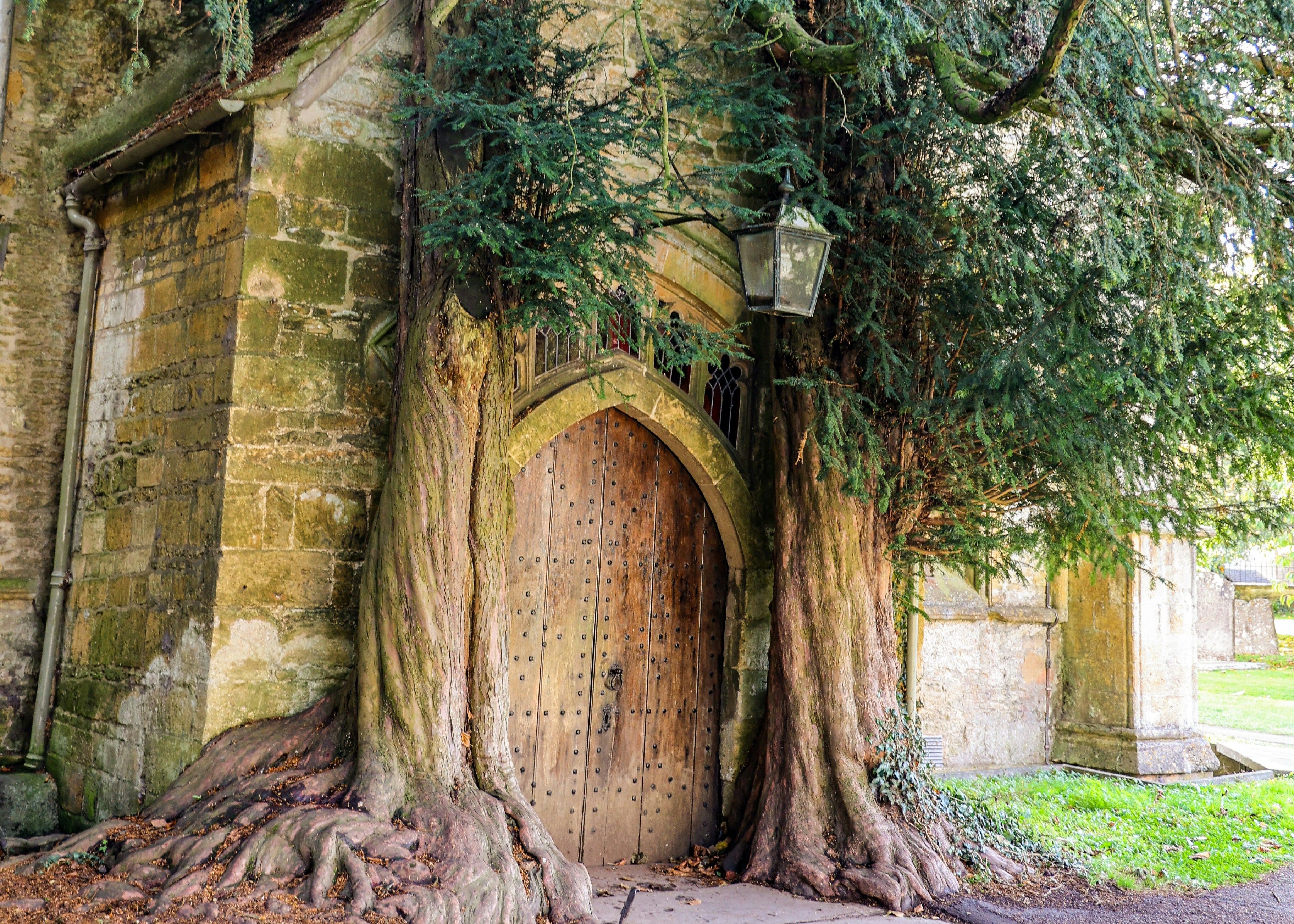 Old wooden church door framed by two ancient yew trees at St Edward’s Church, Stow-on-the-Wold