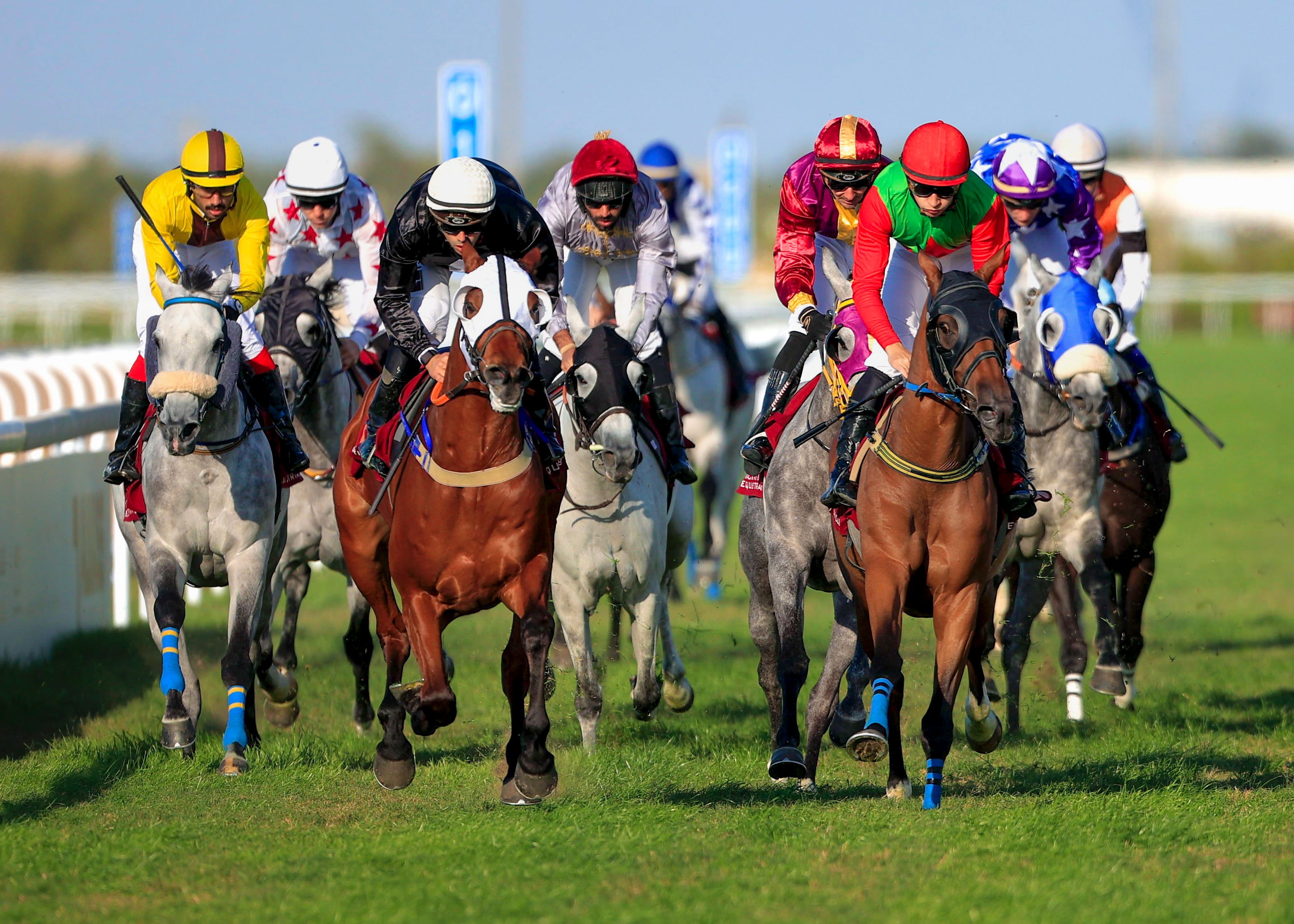 Horses and jockeys on a racecourse