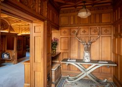 Historic Stag in wood panelled room