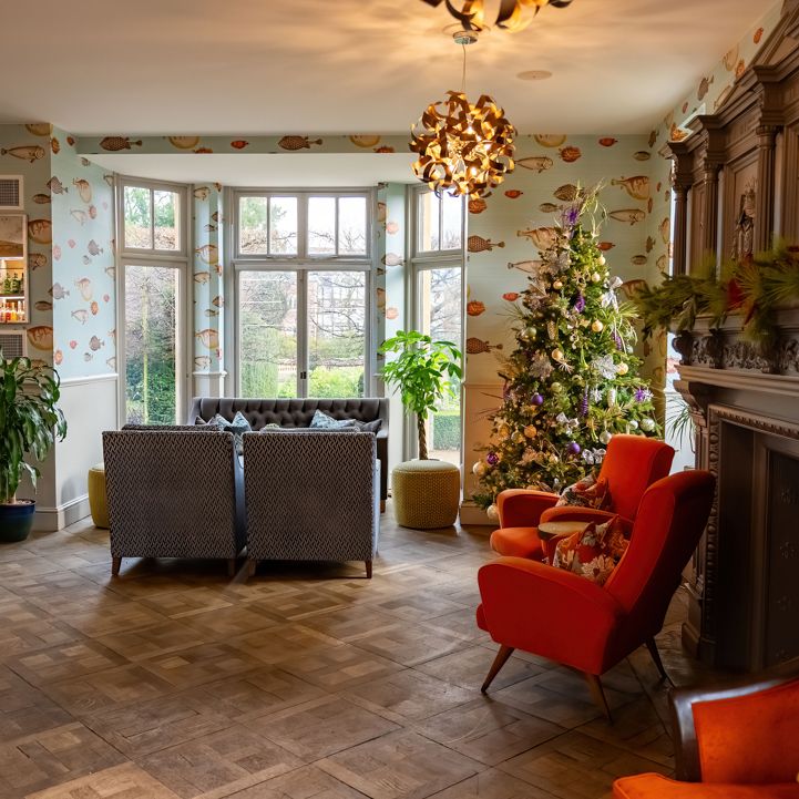 Cozy living room with modern lighting, Christmas tree, and comfortable seating