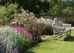 Garden flowers