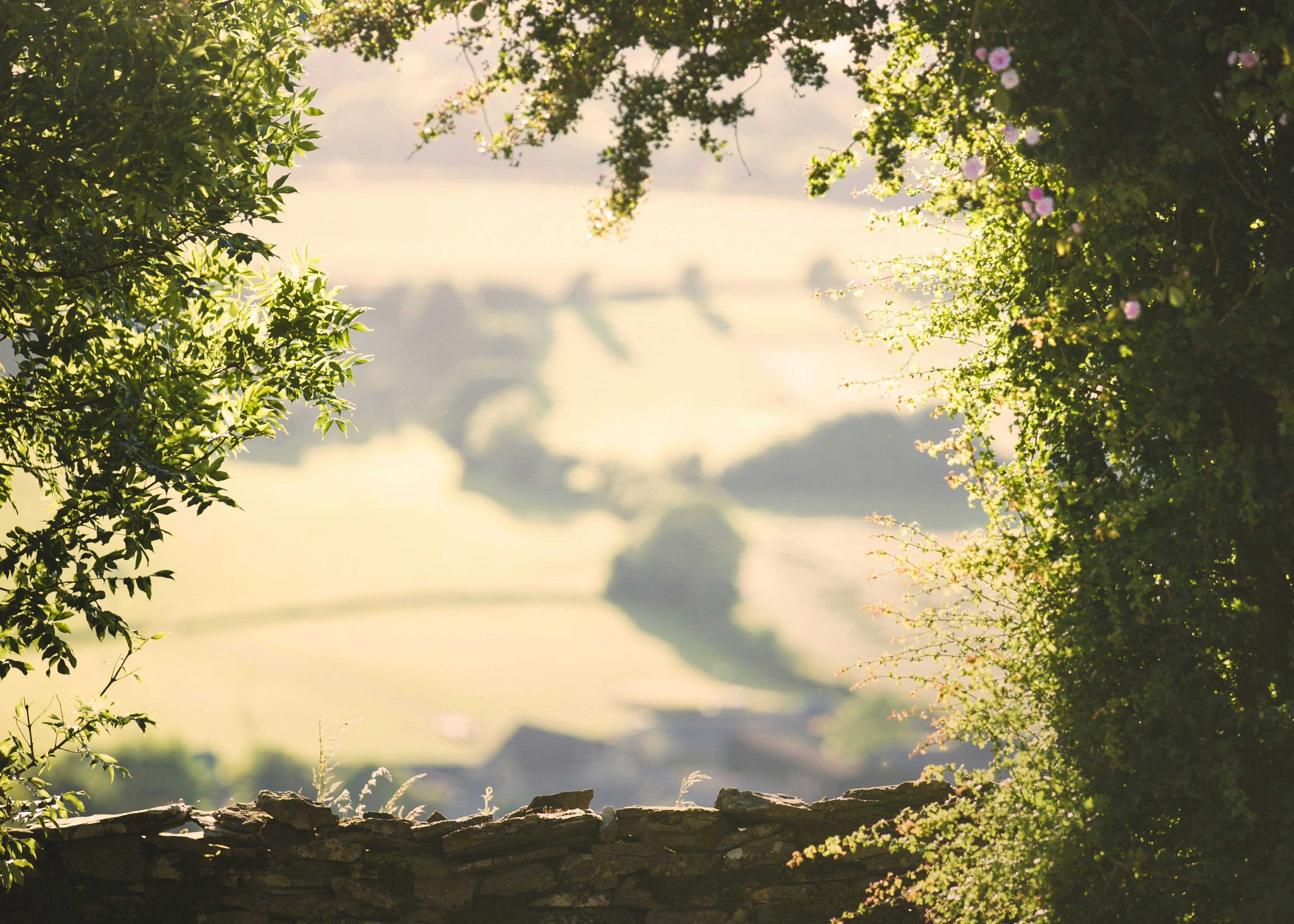 Sunlit countryside landscape framed by leafy trees and a stone wall