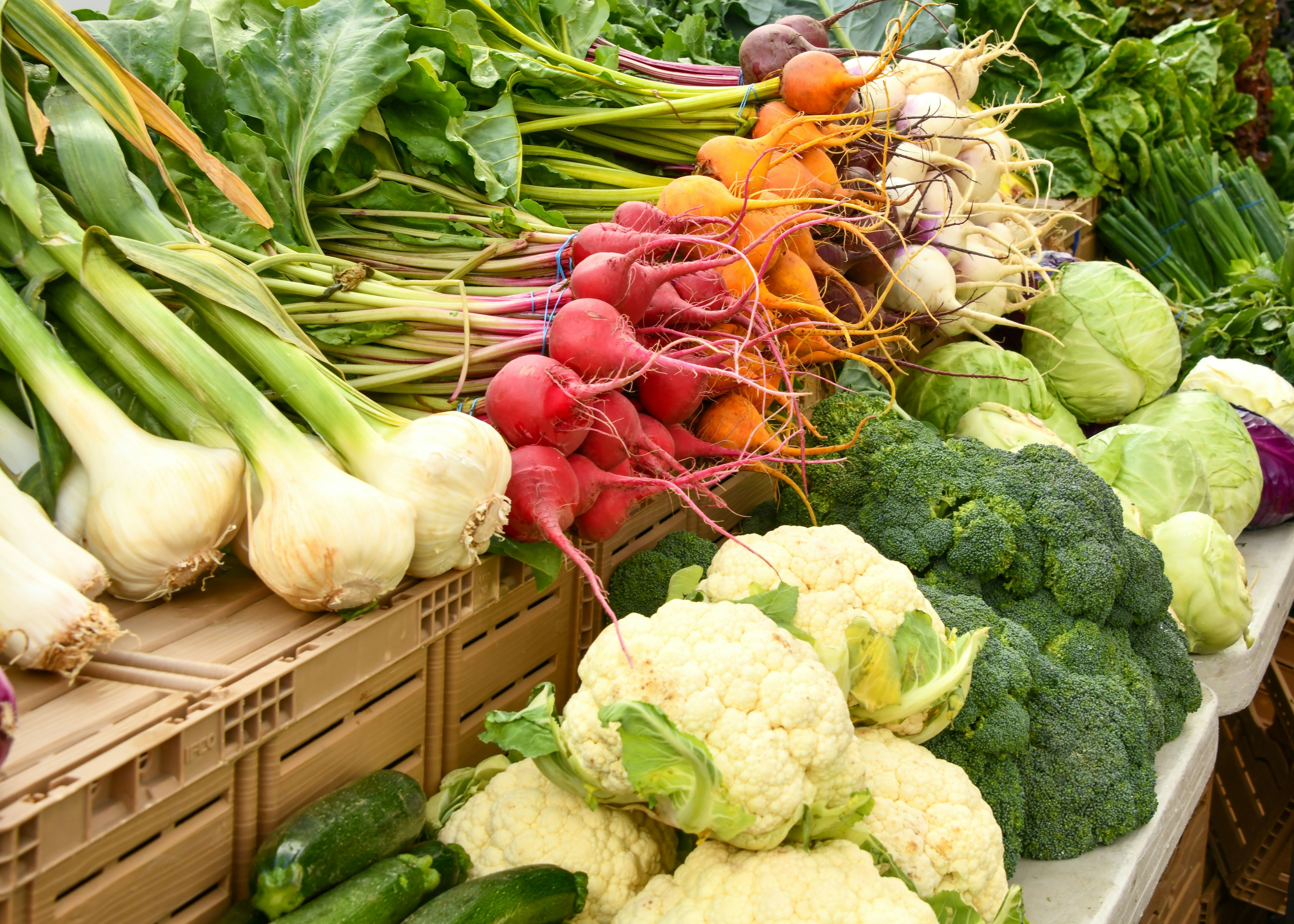 Fresh vegetables on display at a market