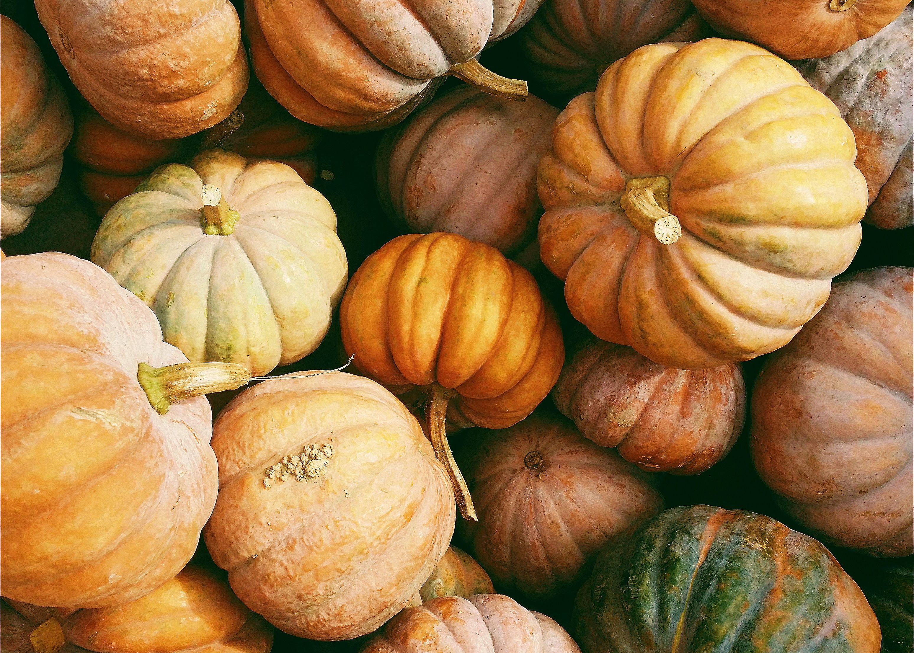 A pile of assorted pumpkins in various shades of orange and green