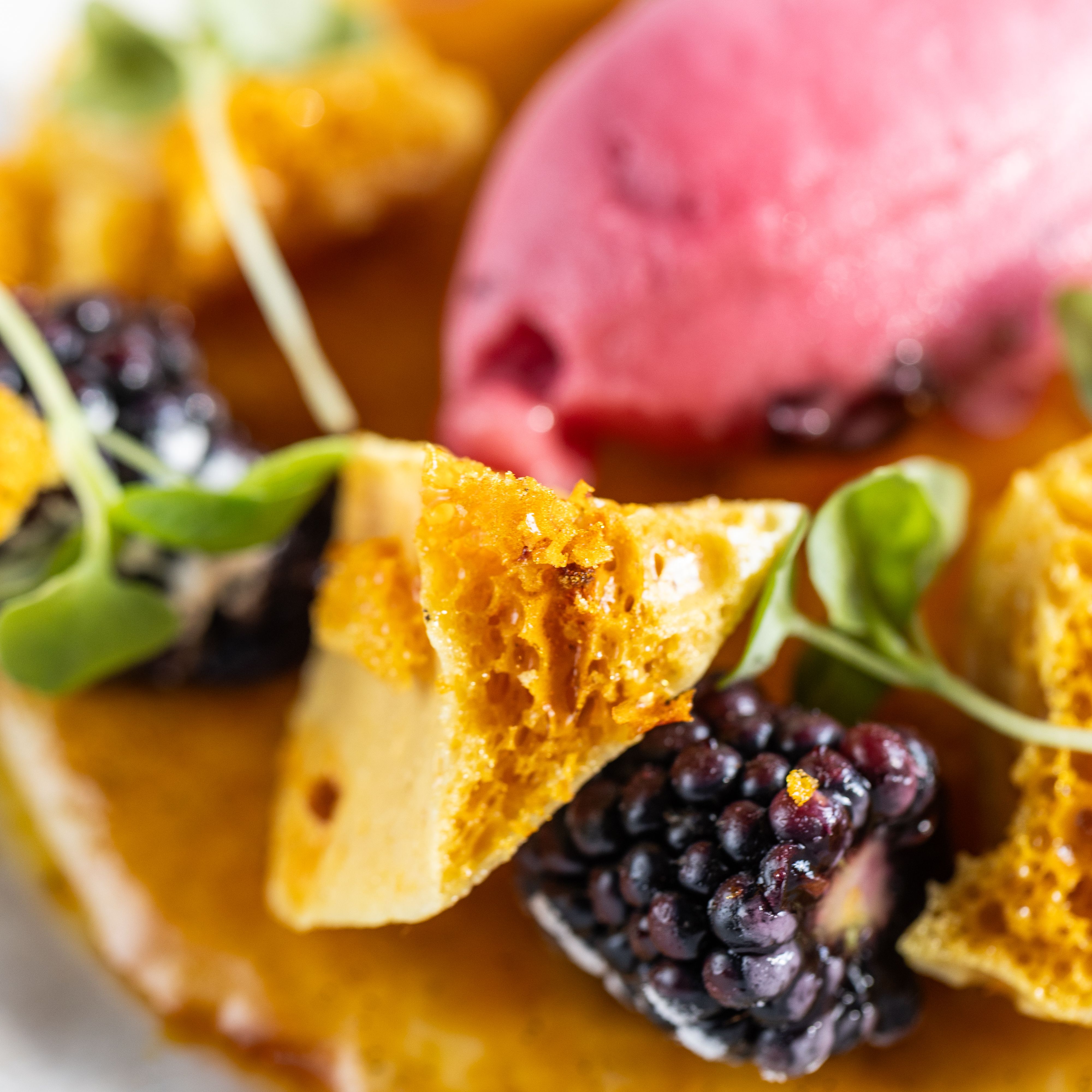 Close-up of a gourmet dessert with honeycomb toffee, blackberries, microgreens, and a scoop of berry sorbet.