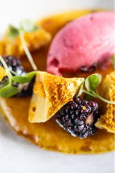 Close-up of a gourmet dessert with honeycomb toffee, blackberries, microgreens, and a scoop of berry sorbet.