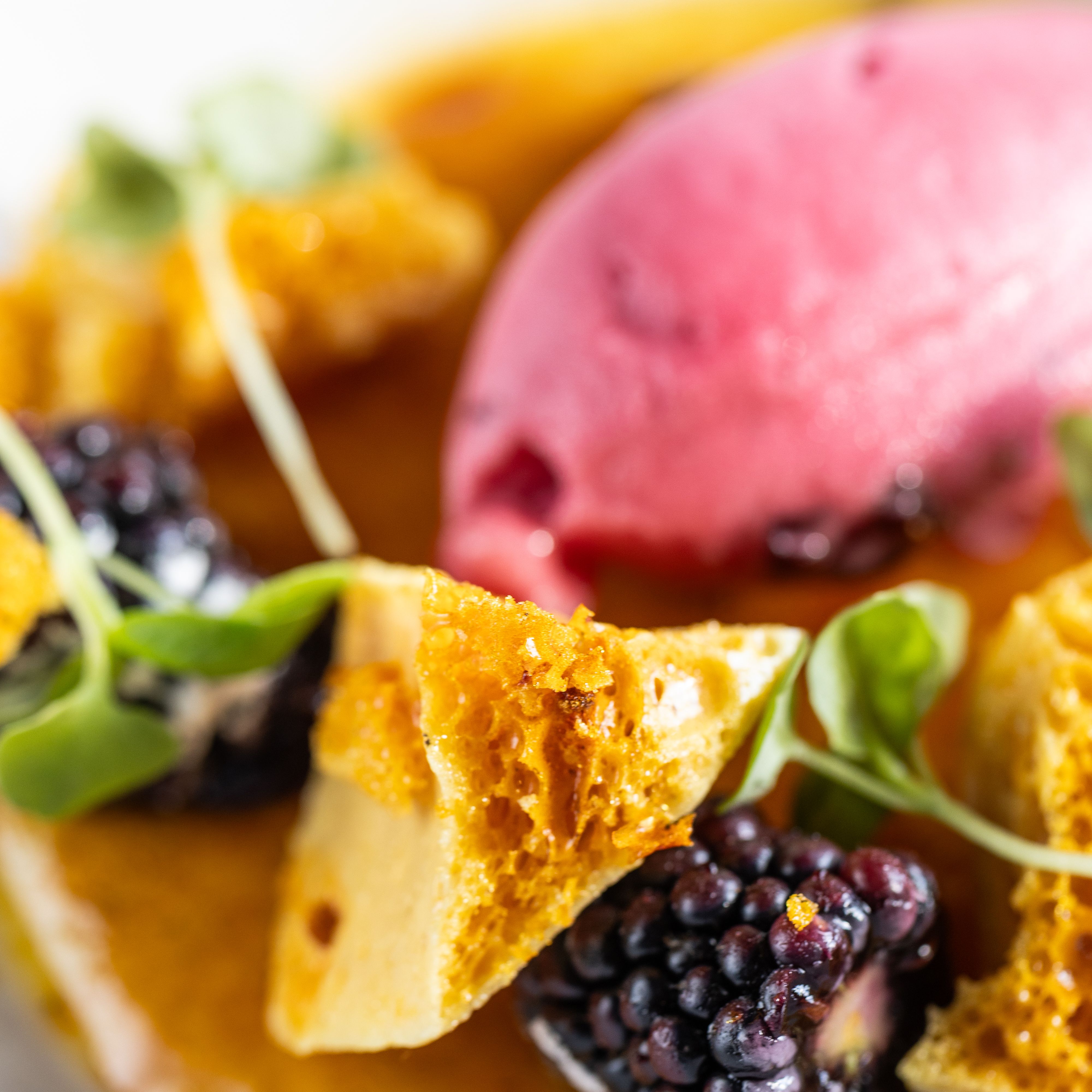 Close-up of a gourmet dessert with honeycomb toffee, blackberries, microgreens, and a scoop of berry sorbet.