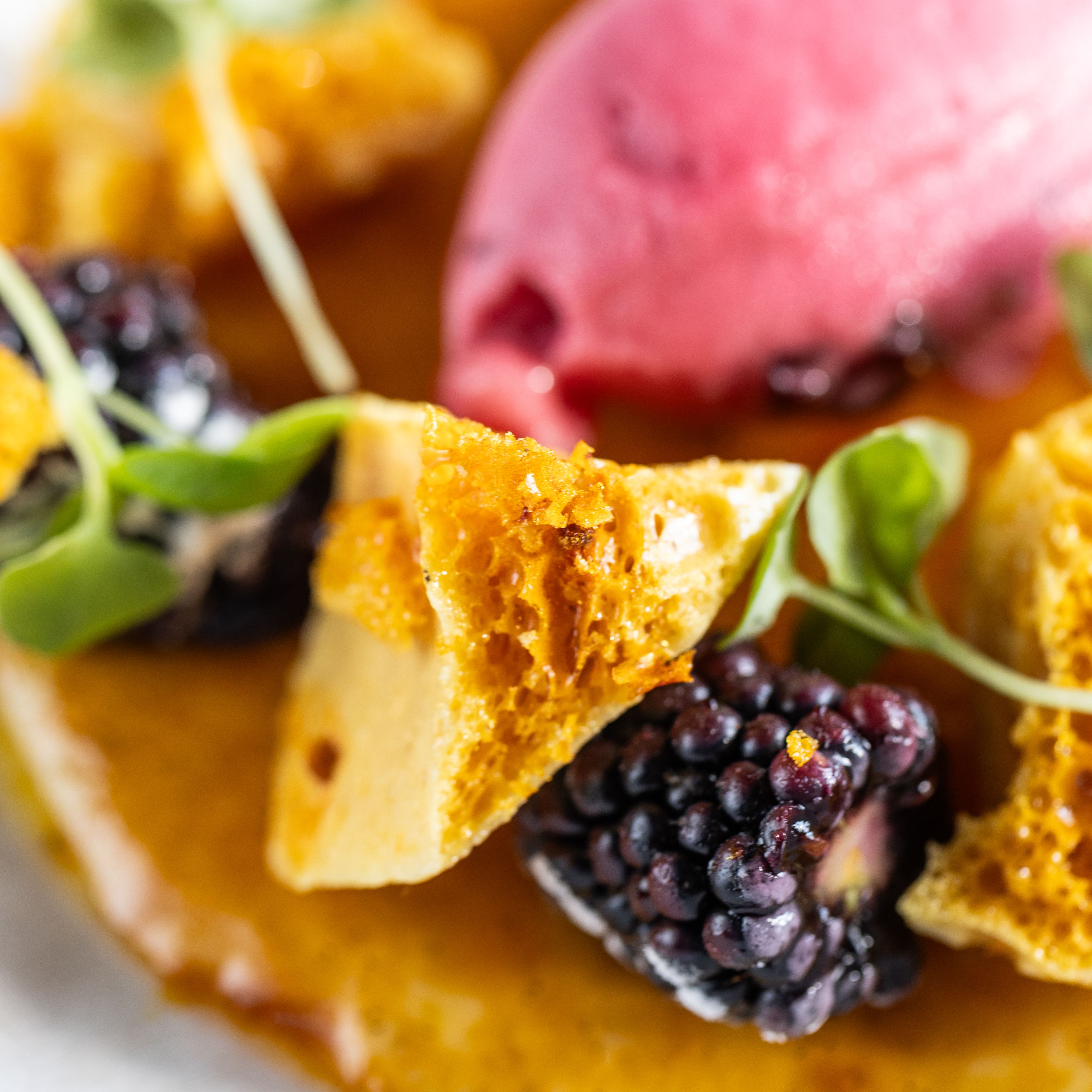 Close-up of a gourmet dessert with honeycomb toffee, blackberries, microgreens, and a scoop of berry sorbet.