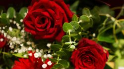 A close-up of a bouquet with red roses, red gerbera daisies, baby's breath, and green foliage.