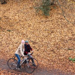 Two people riding bicycles on a path covered with autumn leaves in a forest
