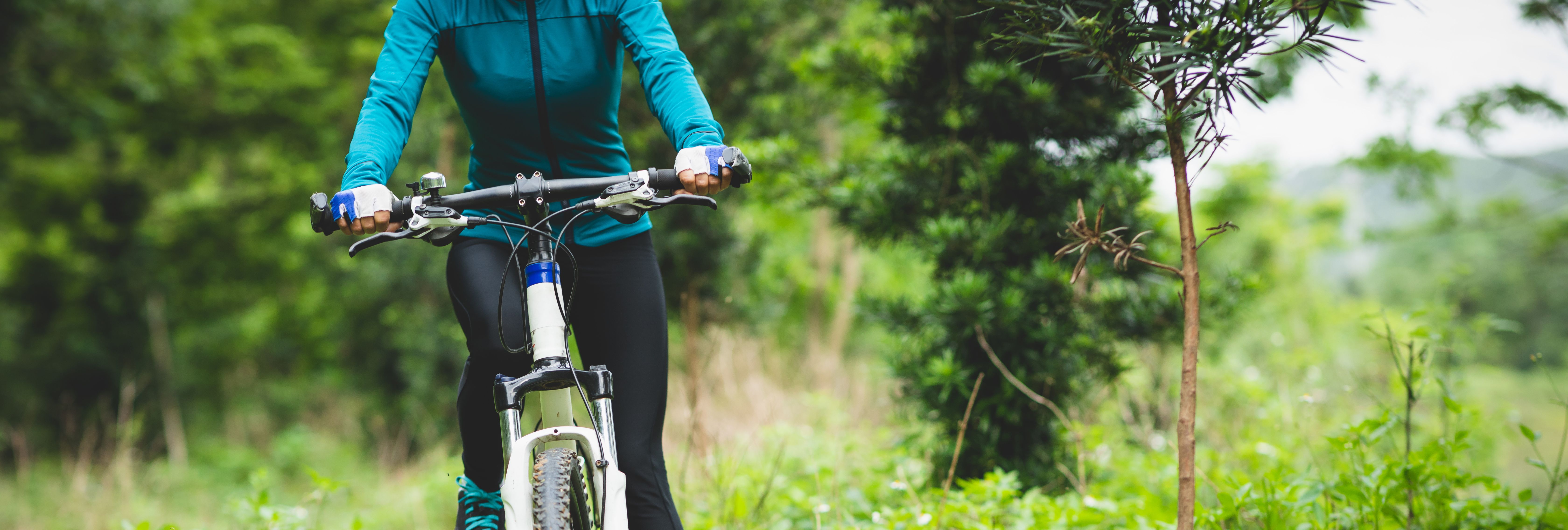 Person riding a mountain bike on a forest trail