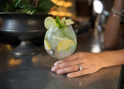 Gin and tonic