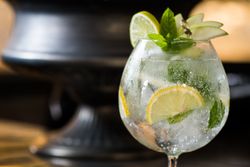 Gin and tonic